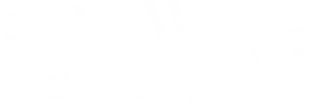 Dhahia Juice logo